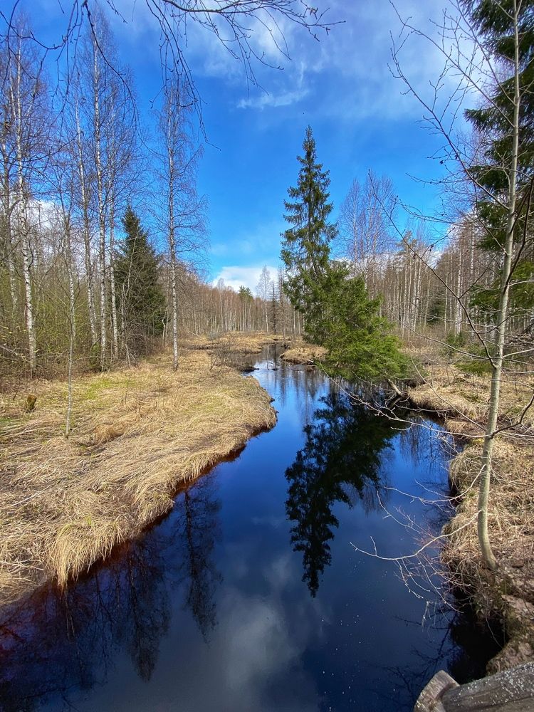 Photograph by Oksana Smorodina