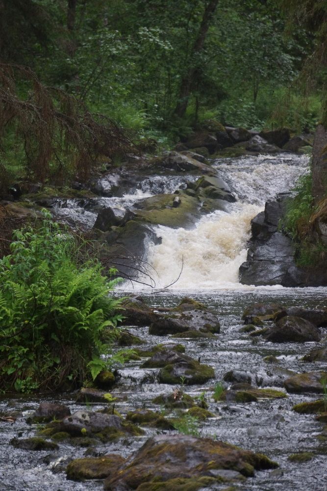 Photograph by Oksana Smorodina