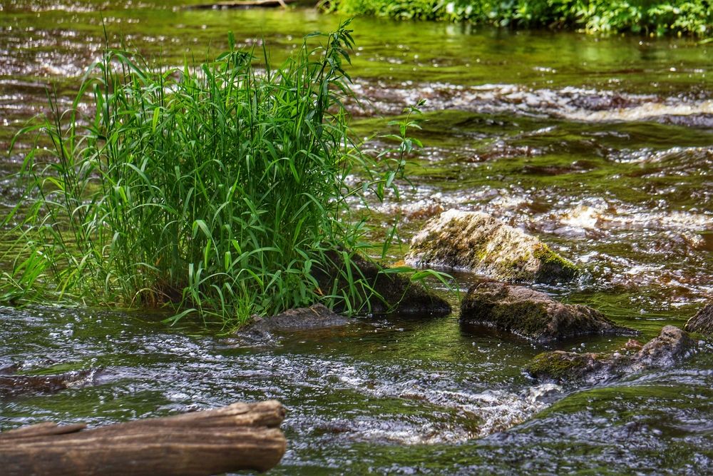 Photograph by Oksana Smorodina