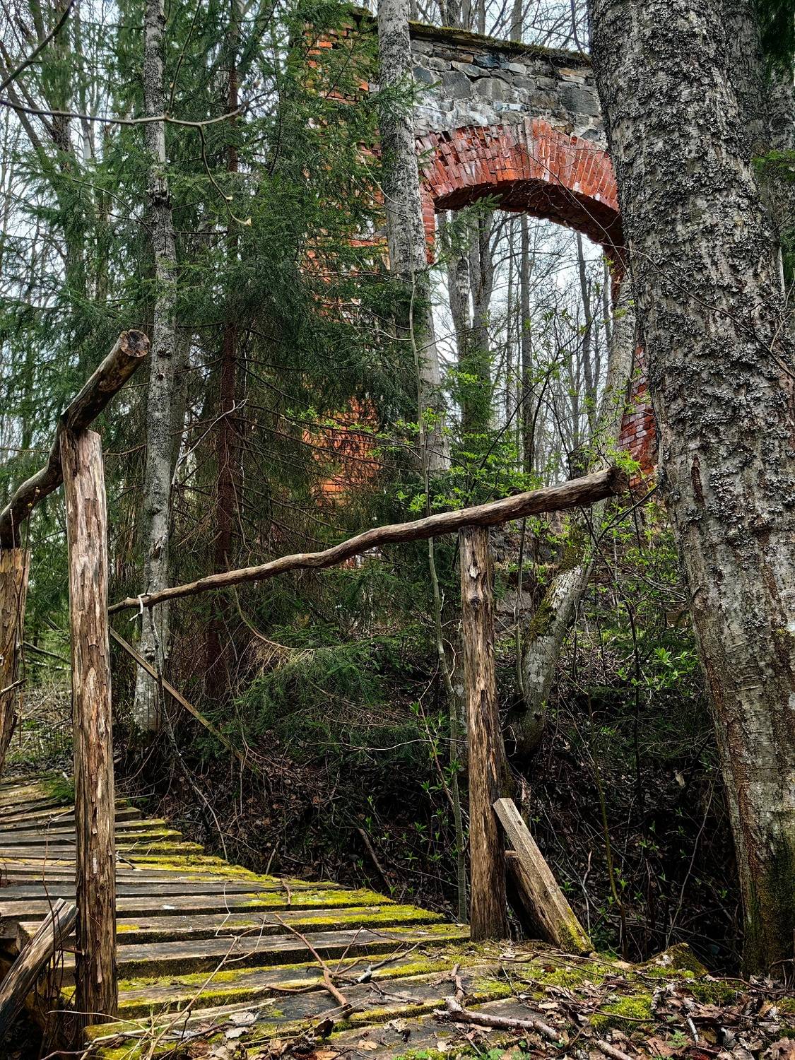 Фотография #13265772