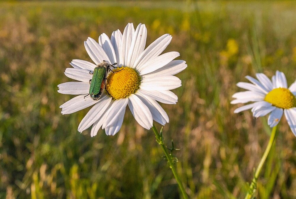 Photograph by Алексей Сиваков