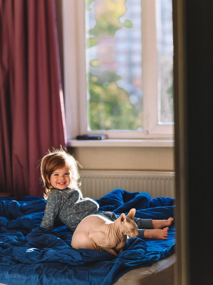 Фотография автора Анна Ворончихина