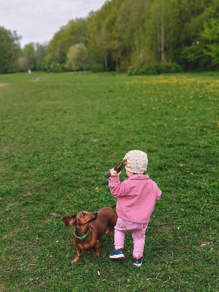 Фотография автора Анна Ворончихина