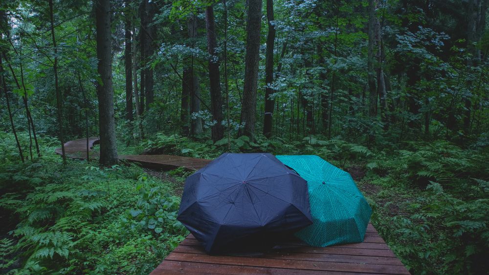 Photograph by Иван Бортяков