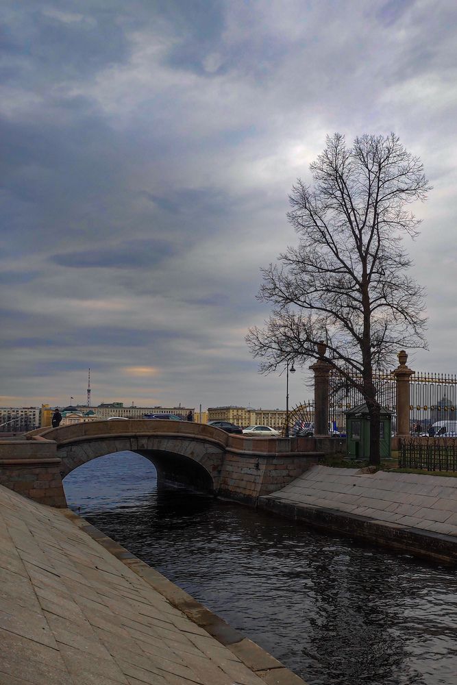 Фотография автора Наталья Алехина