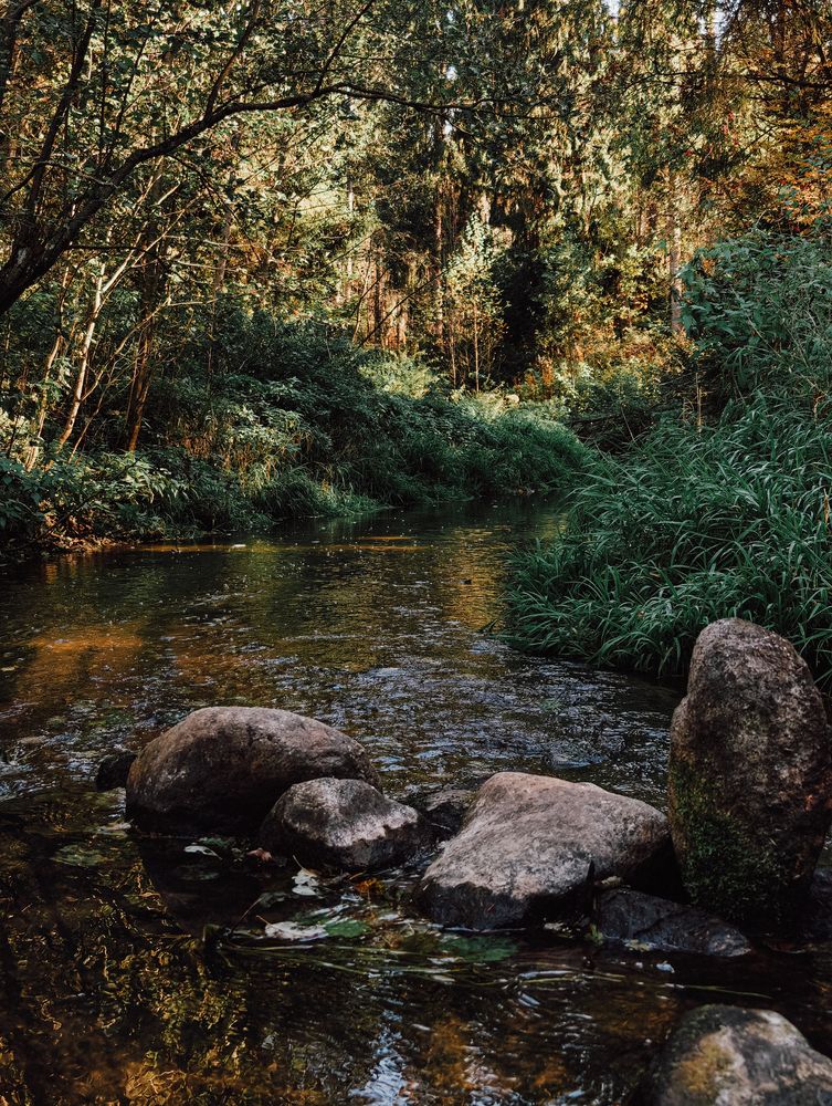 Photograph by Nataly Gusarova