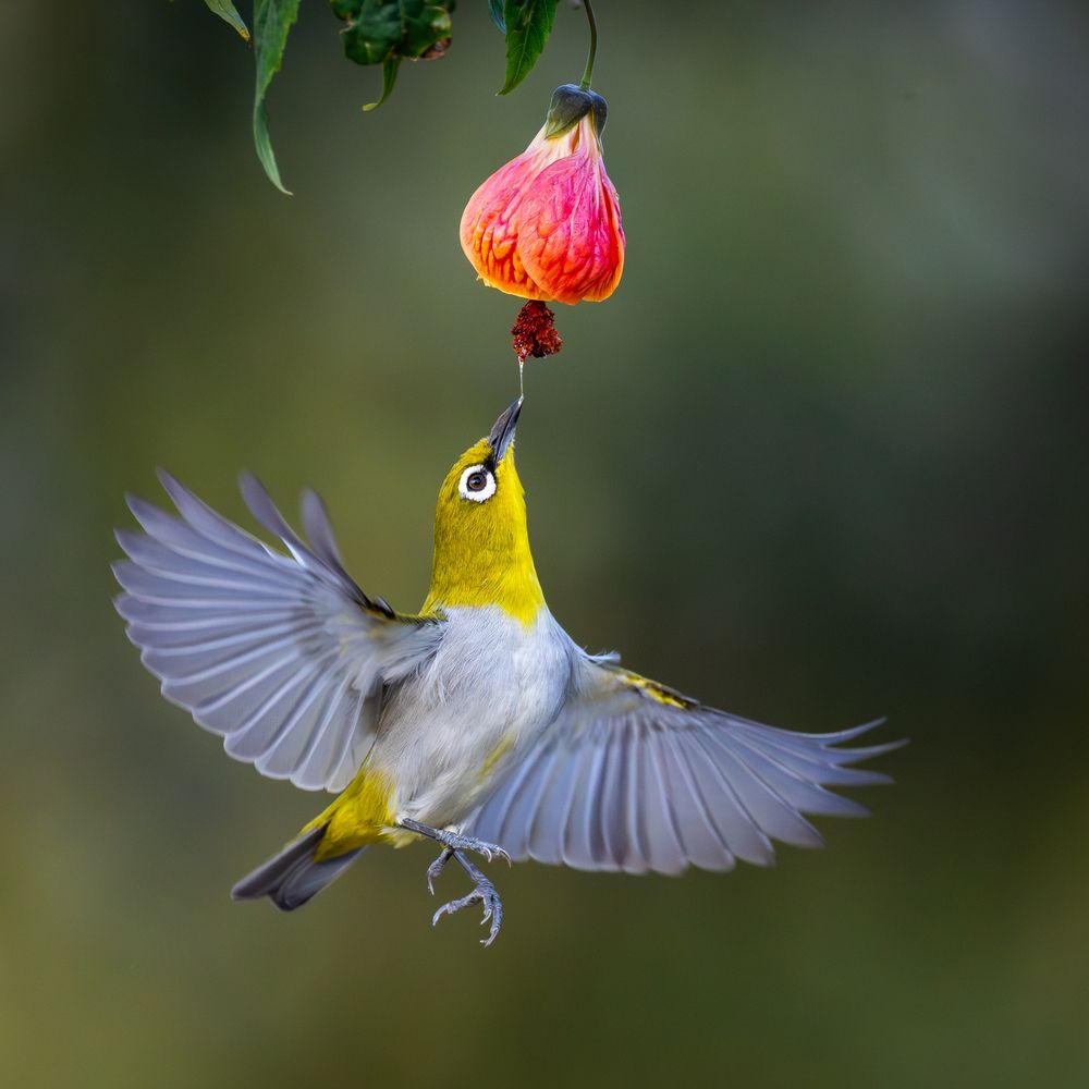 Photograph by Aritra Nath