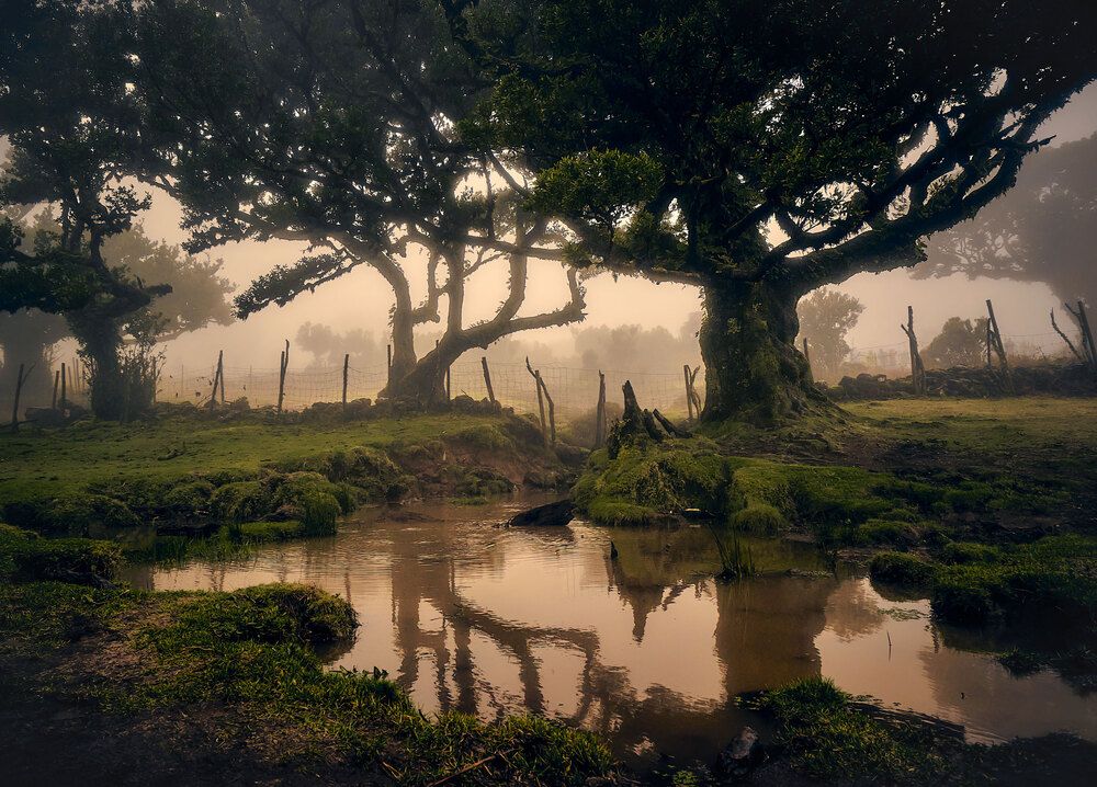 Photograph by Boris Bekelman
