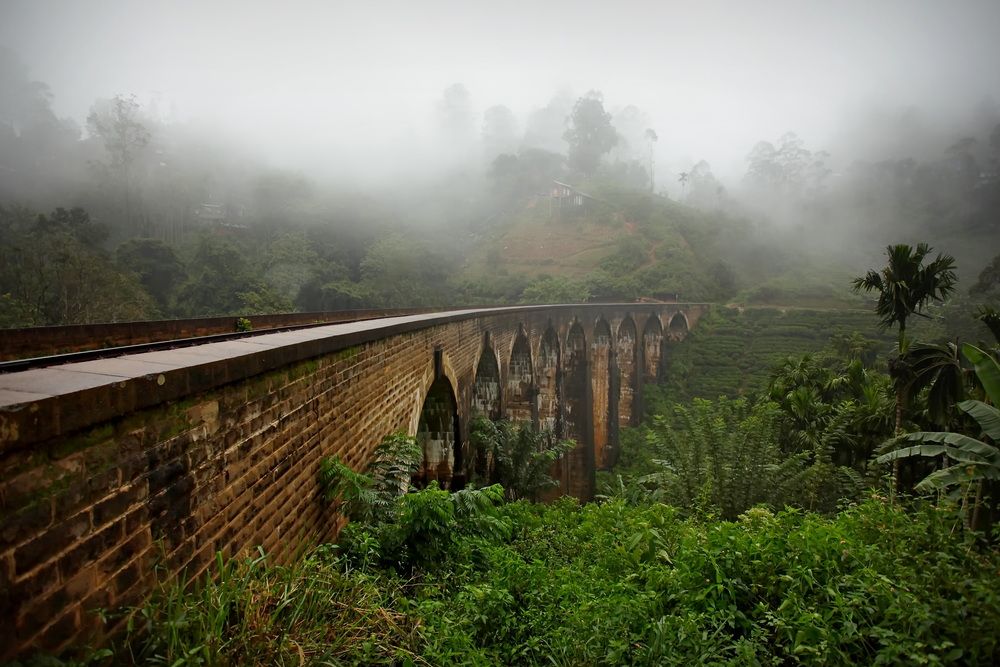 Photograph by Юрий Кольцов