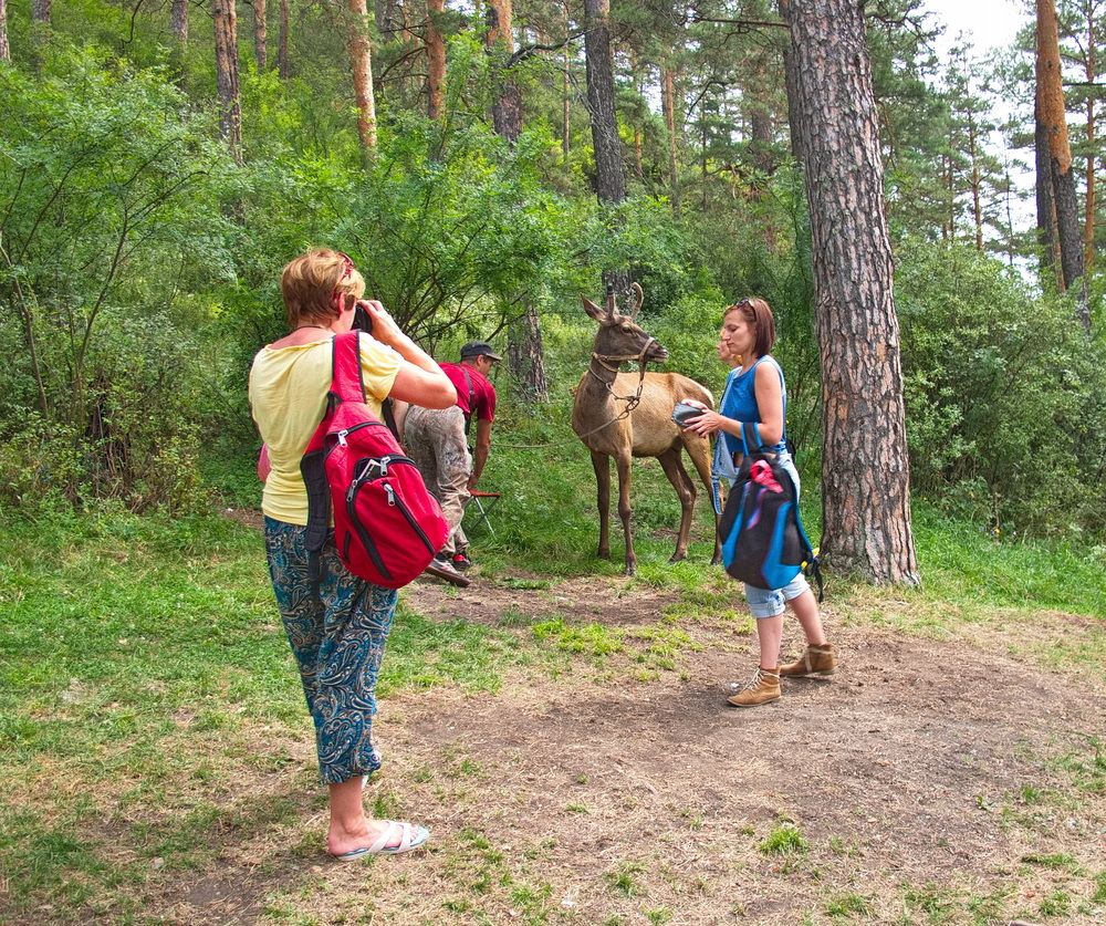 Photograph by Сергей Тимофеев