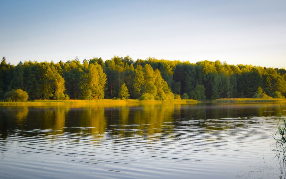 Photograph by Светлана Ковшова