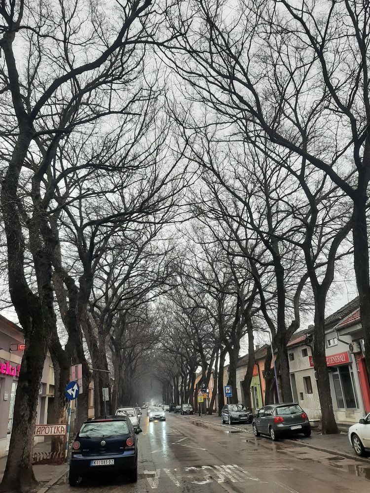 Photograph by amalija radović