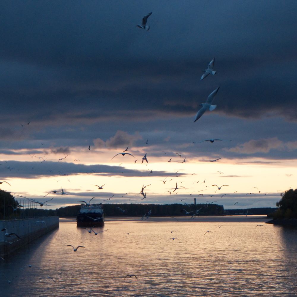 Photograph by Юрий Кольцов