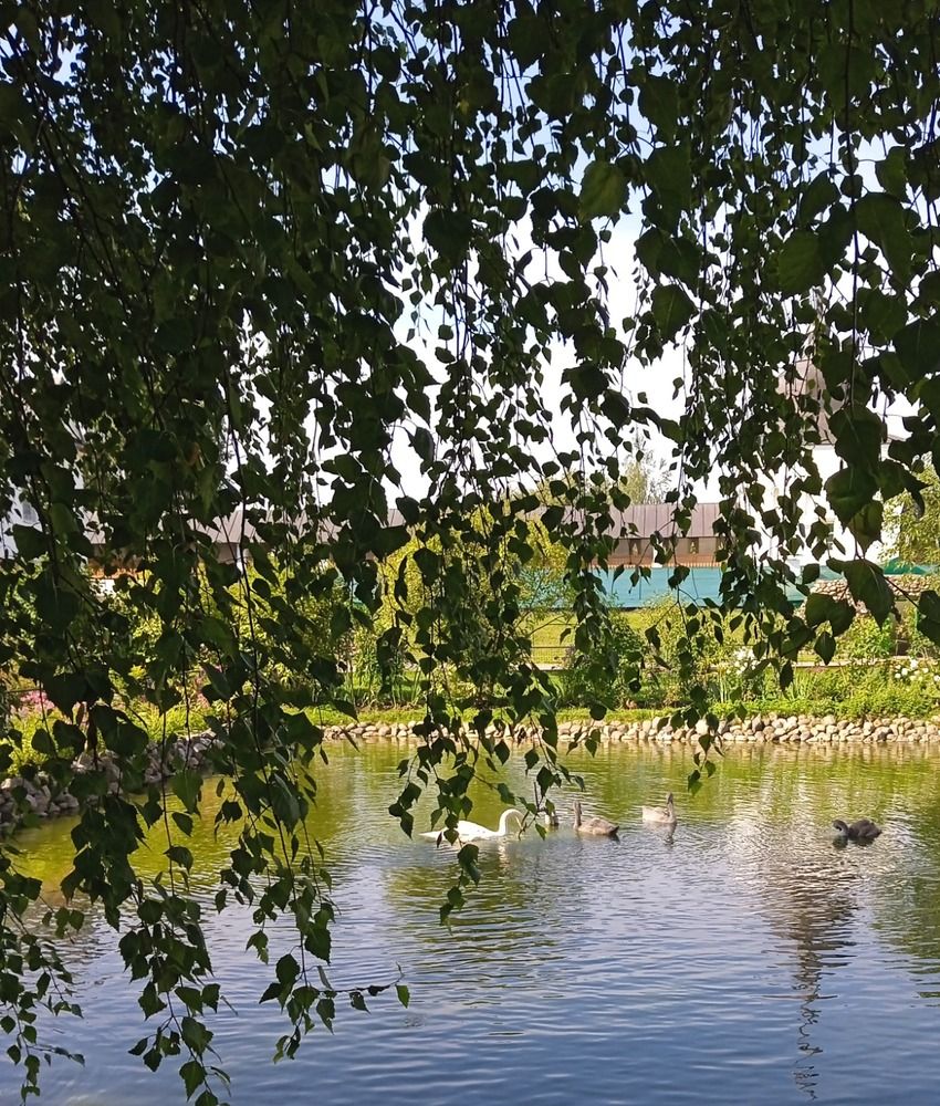 Photograph by Светлана Колбасова