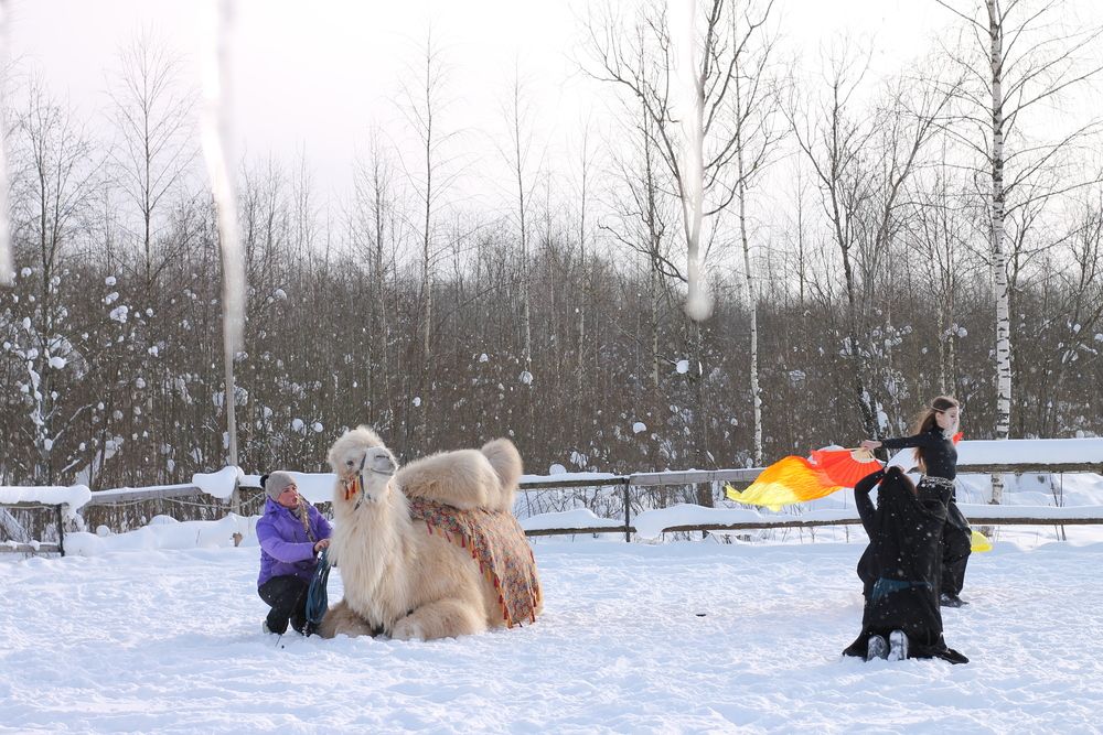 Фотография автора Anzhelika