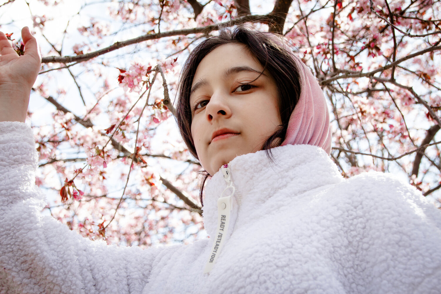 Photo #13266450