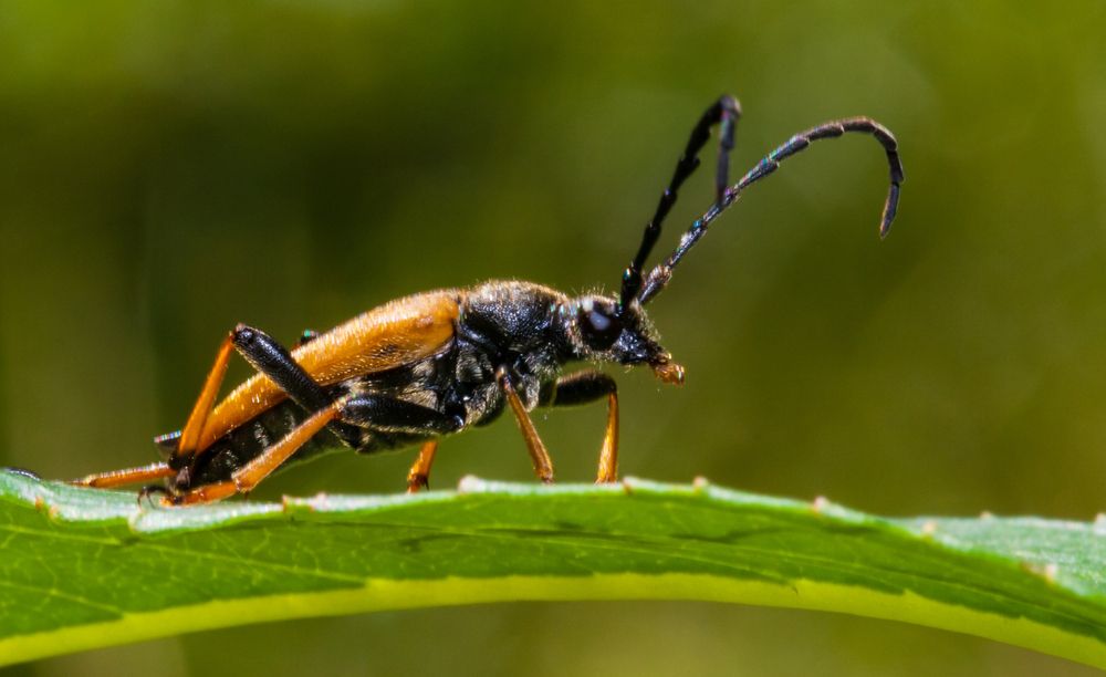 Фотография автора Александр Есликов