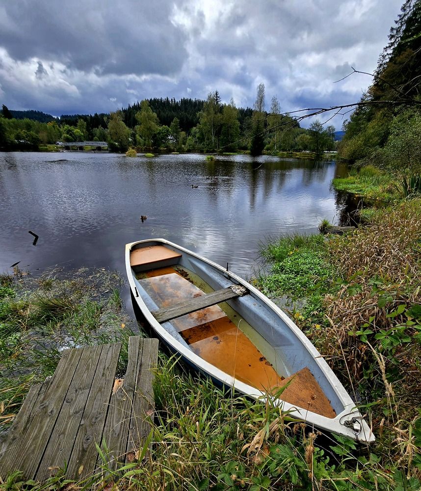 Photograph by Светлана