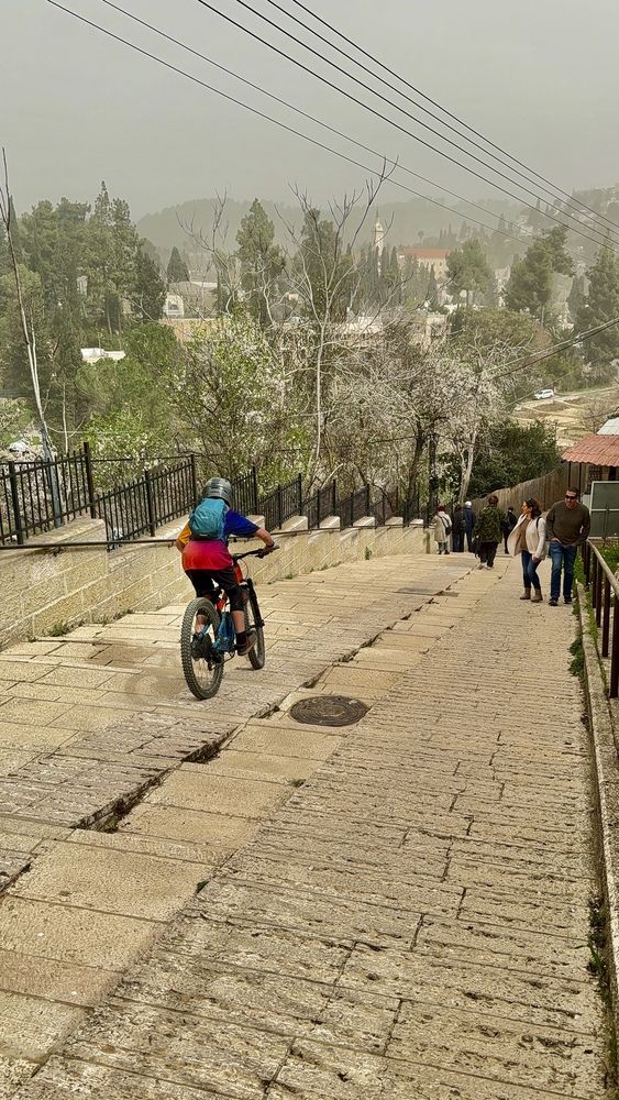 Photograph by Olga Berlyand