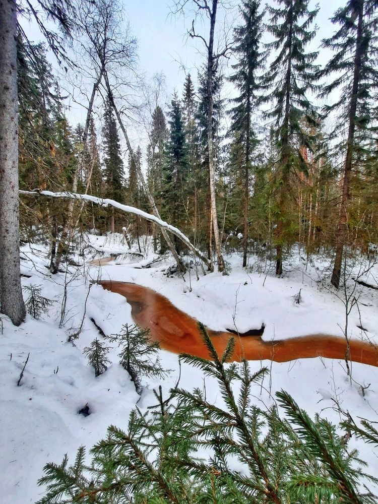 Северная река