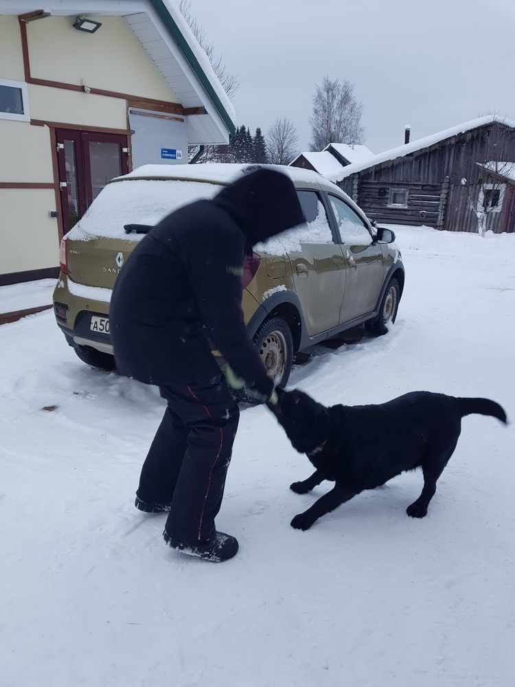 Фотография автора Anzhelika