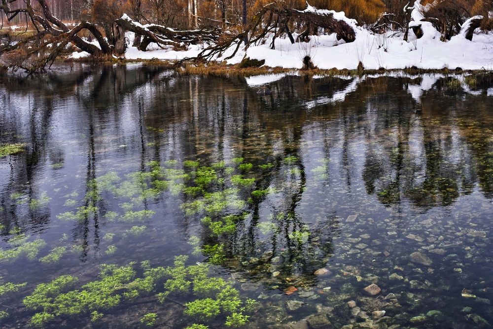 Photograph by Микрокосмос Владимир