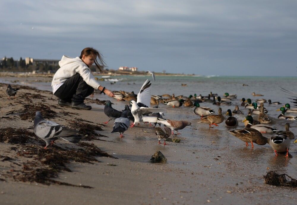 Photograph by Ирина Волк