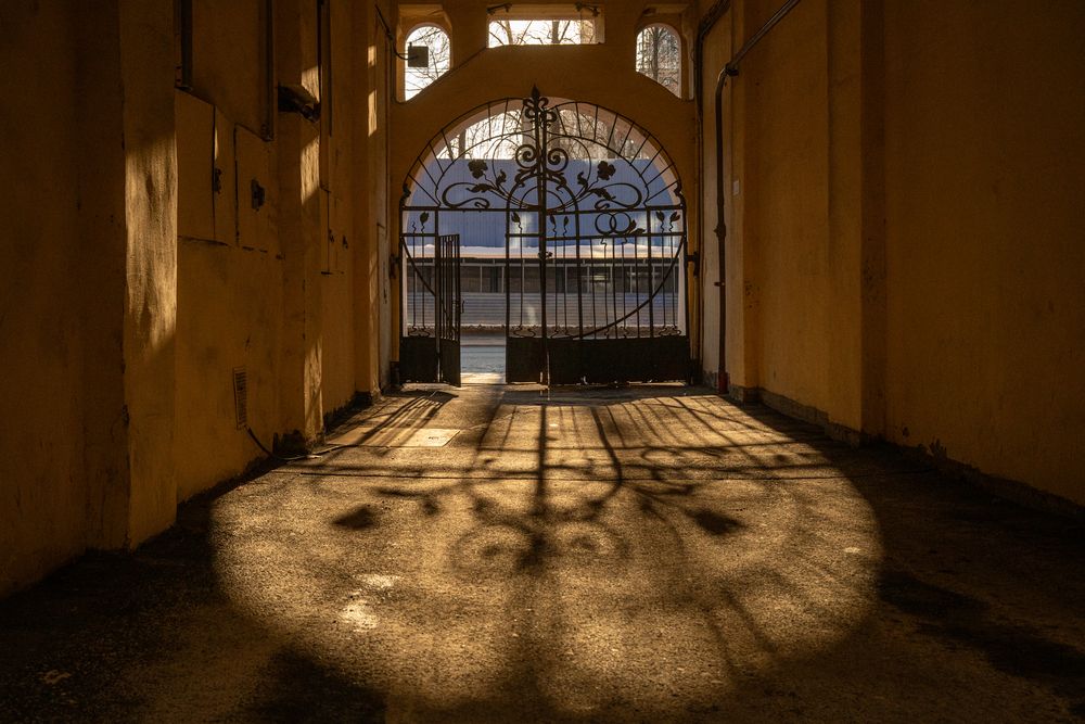 Фотография автора Dimitri Bakhtadze