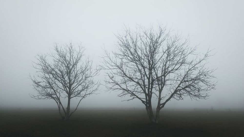 Photograph by Арсен Баккунов