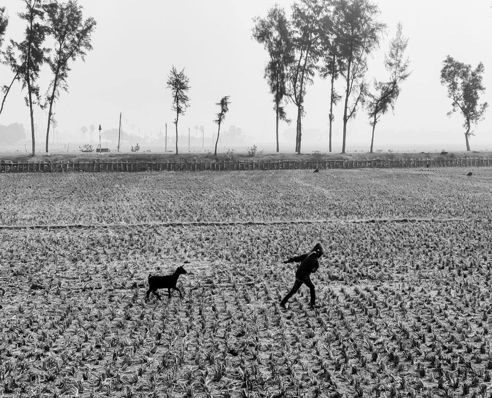 Photograph by Sayani Sil