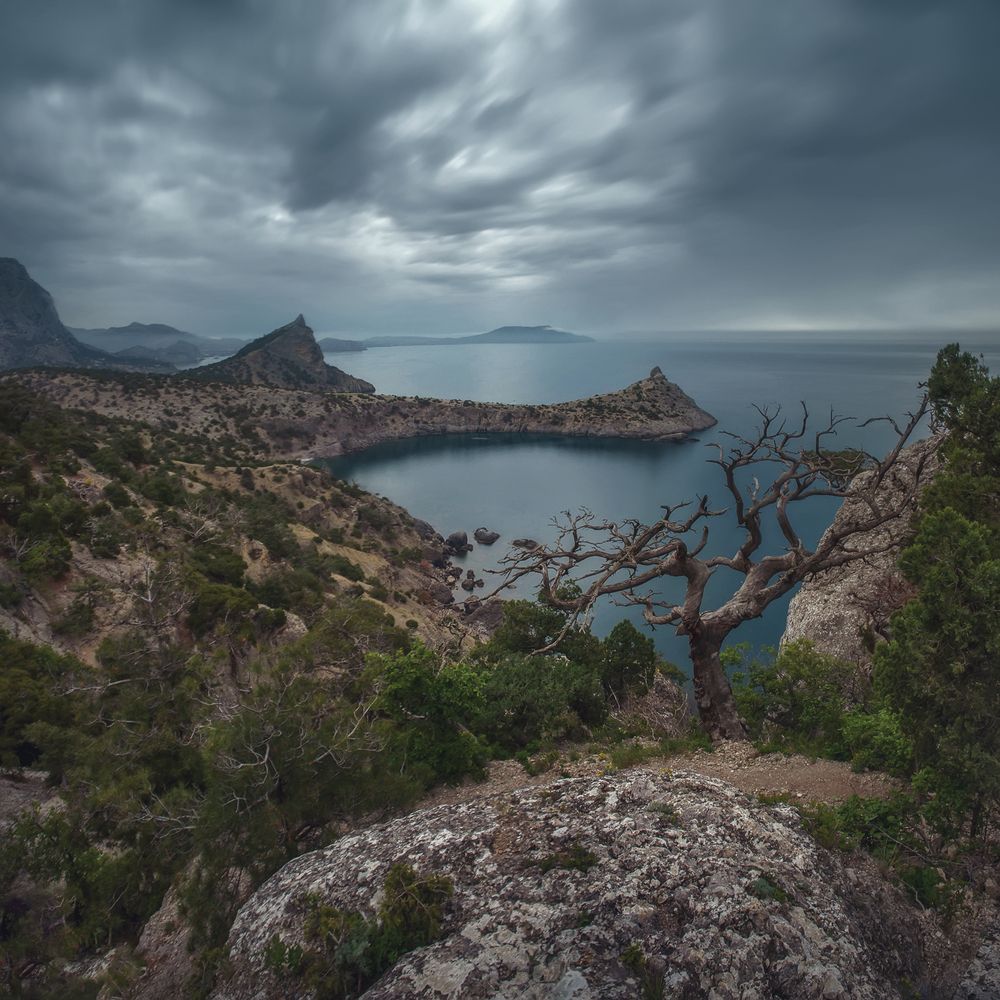 Фотография автора Щепотина Татьяна