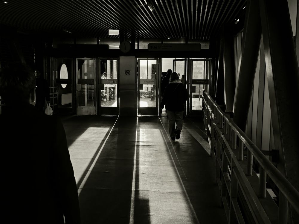 Photograph by Александр Градобоев