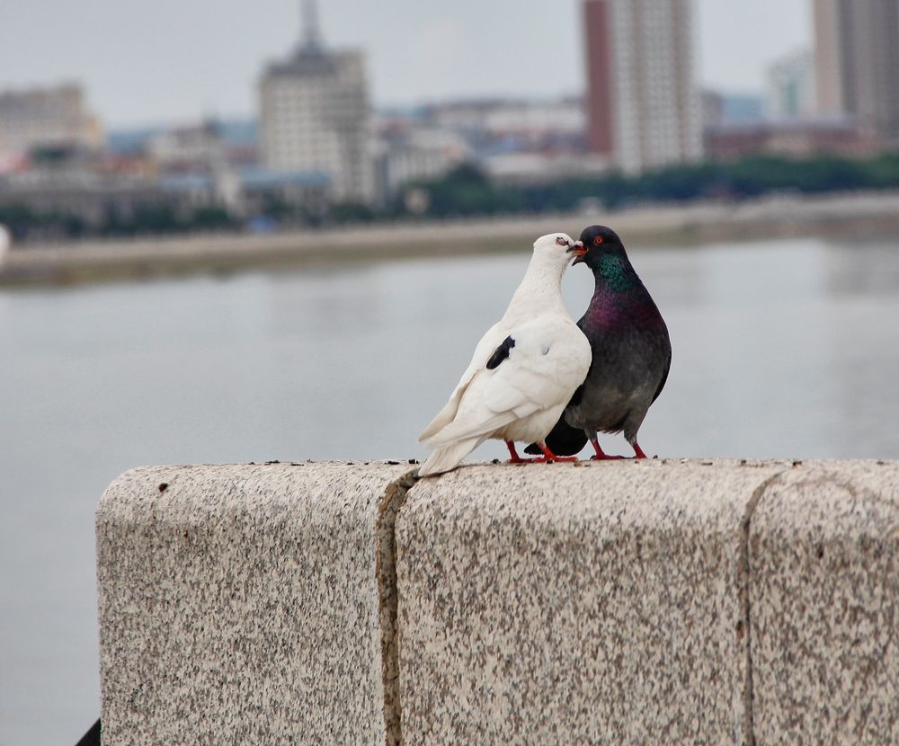 Photograph by Наталия Мащенко