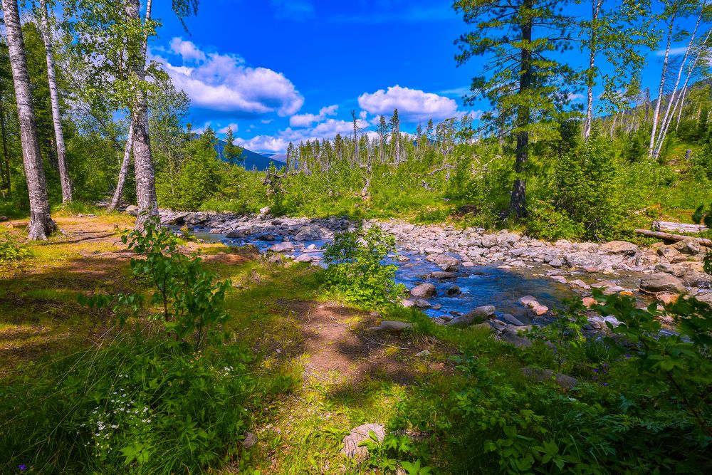 Утро таёжной речки.