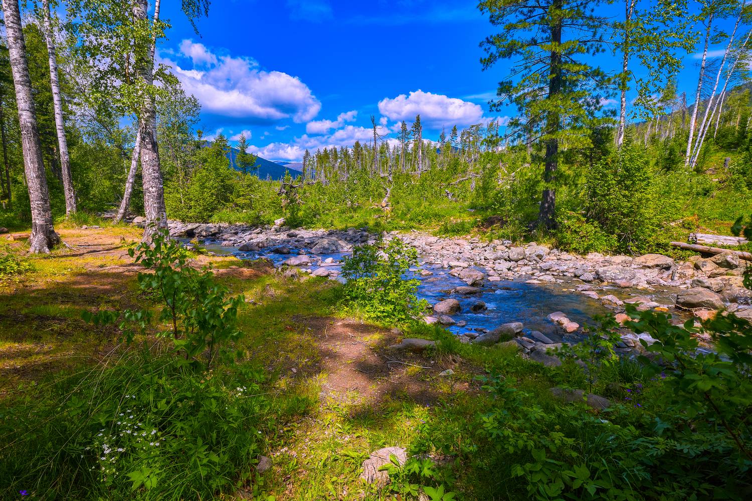 Утро таёжной речки.