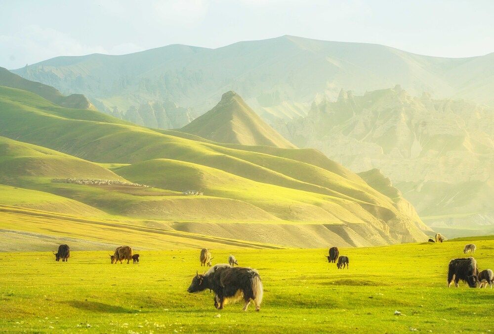 Photograph by Luo Aijun
