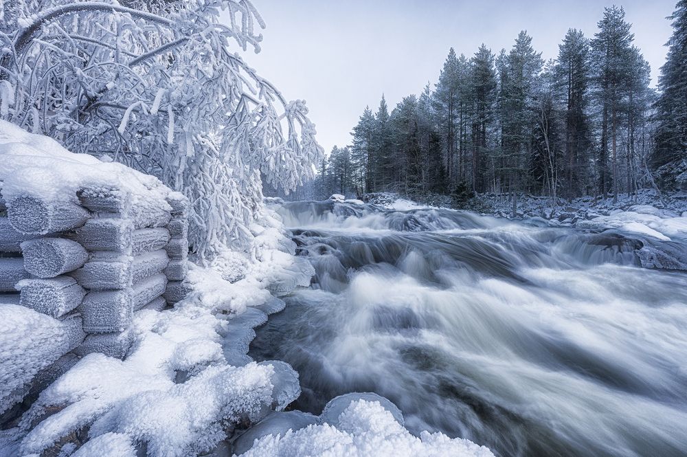 Photograph by Екатерина Рябкова