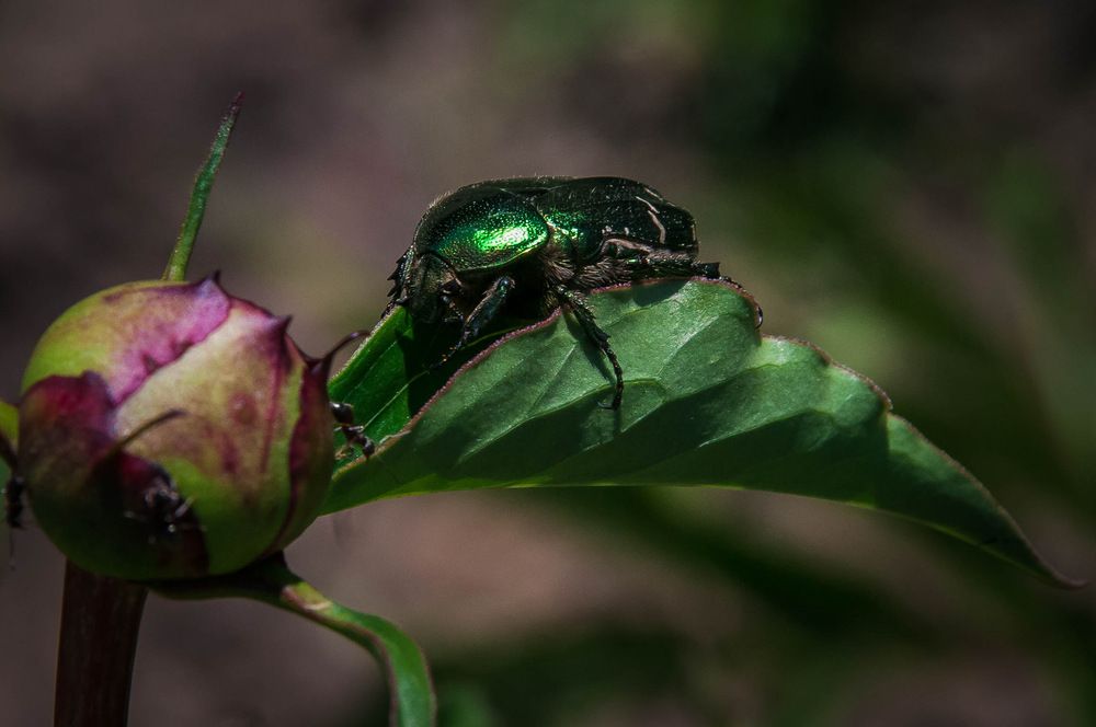 Photograph by Алексей Скулков