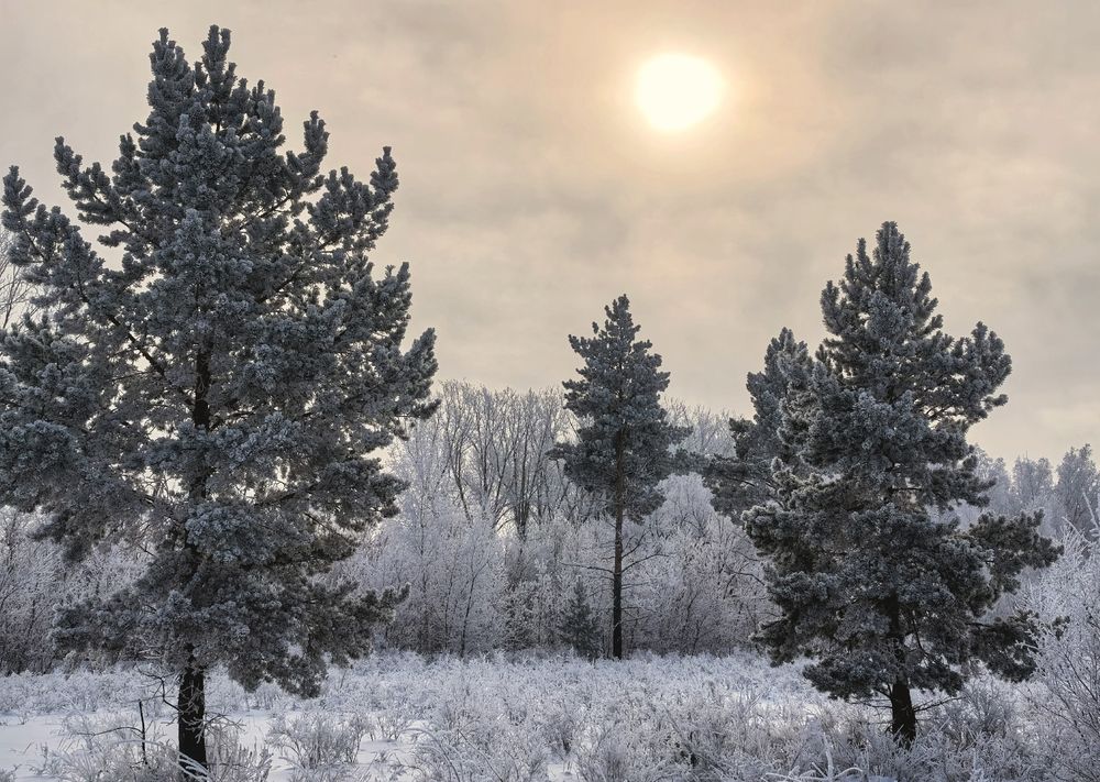 Photograph by Анна Якубинас