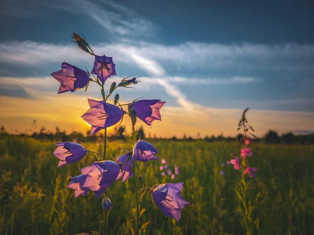 Photograph by Кирилл Сидоров