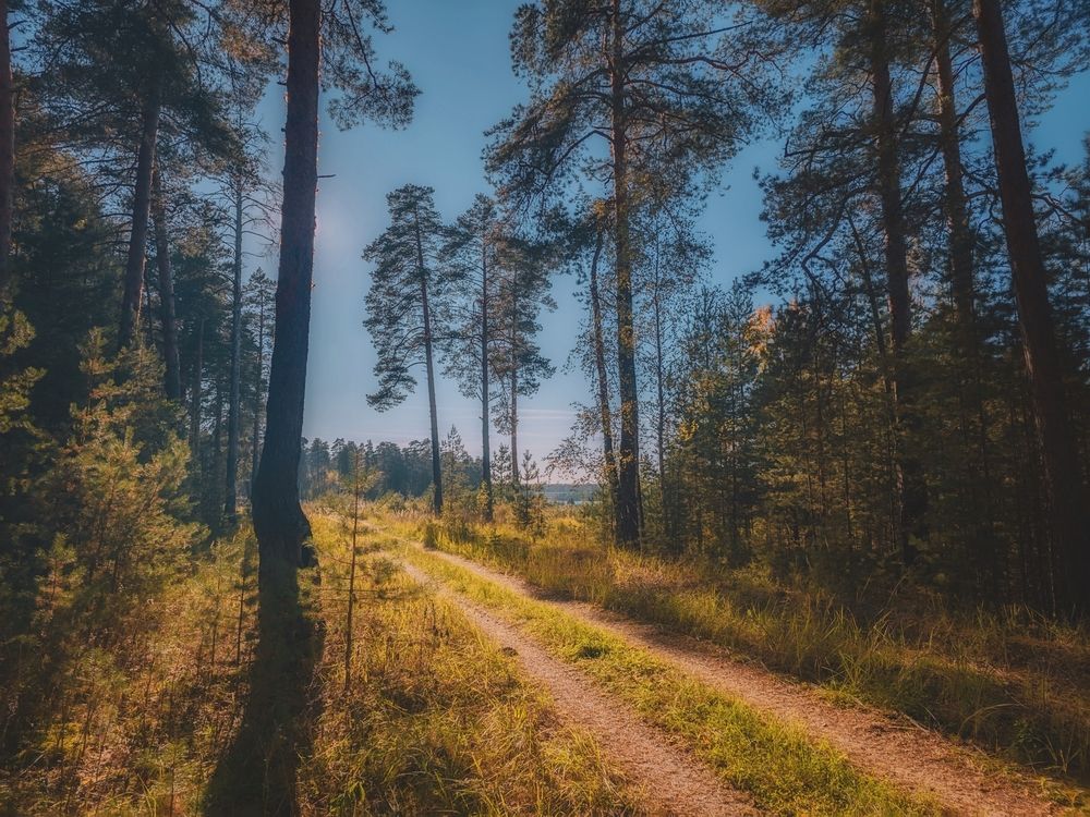 Photograph by Кирилл Сидоров