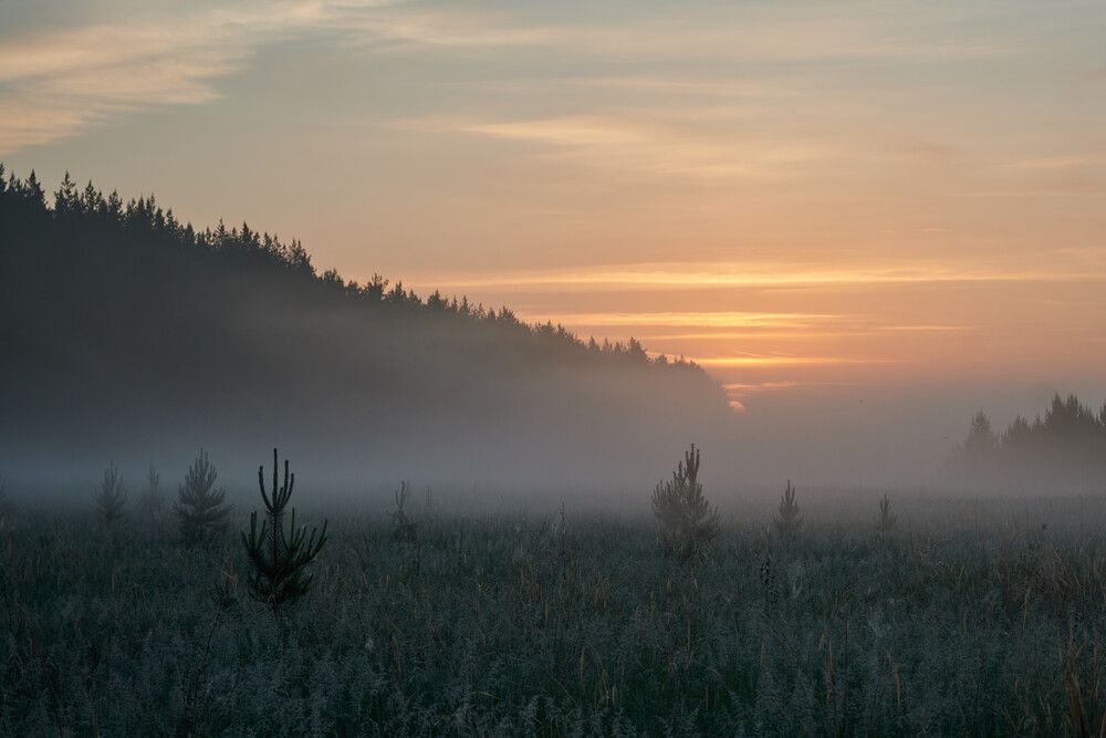 Fog at dawn