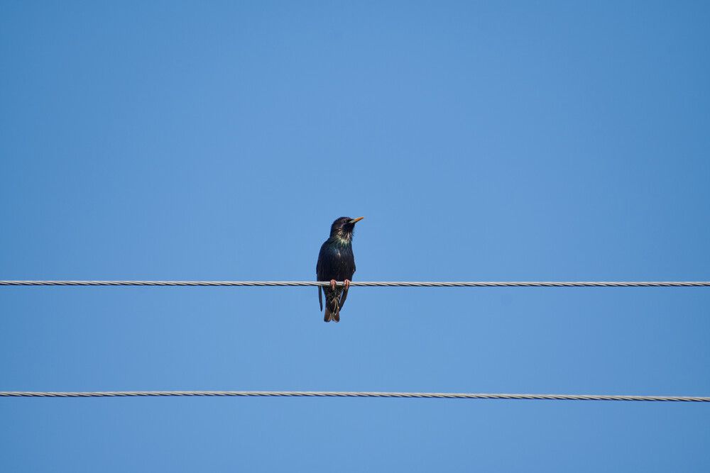 Photograph by Алексей Пахомов
