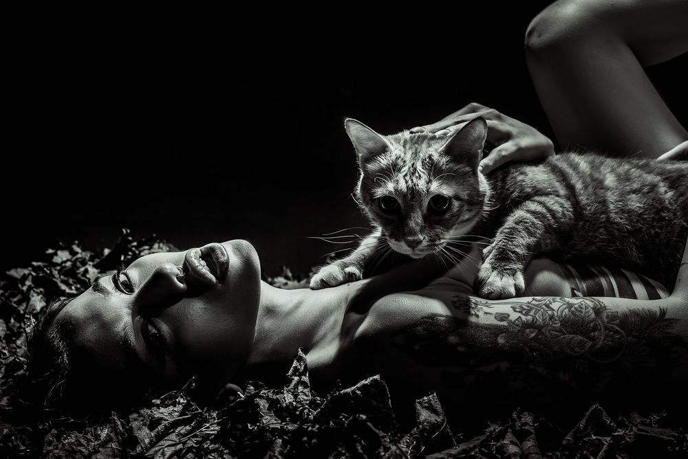 Photograph by Кудряшов Алексей