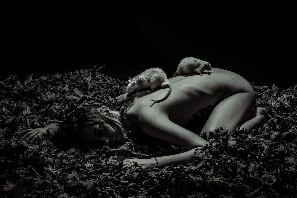 Photograph by Кудряшов Алексей