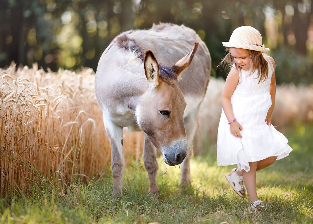 Photograph by Марина Ермолаева