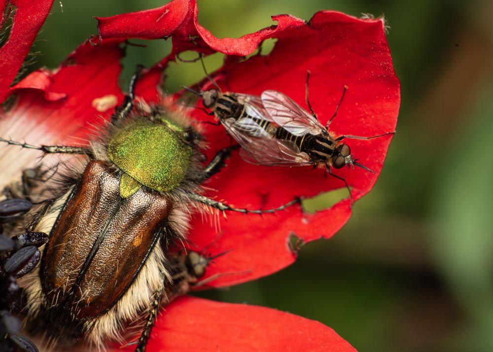 Photograph by Seif Eddine Alaa