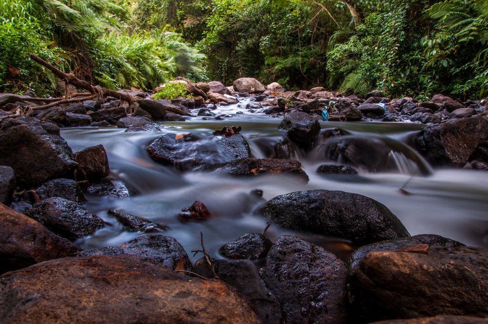 Photograph by Chamara Sulakkhana Polwatta Siriyalage