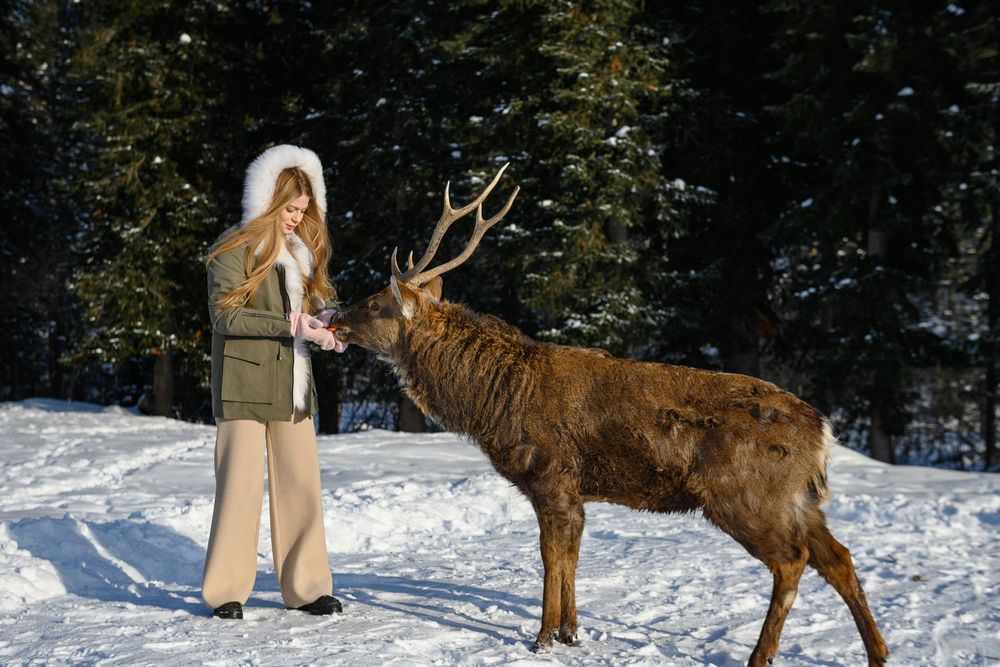 Photograph by Anastasiya Buller