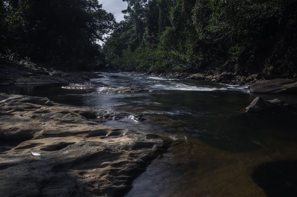 Photograph by Chamara Sulakkhana Polwatta Siriyalage